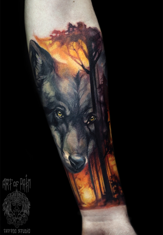 Татуировка мужская реализм на предплечье волк в лесу – Мастер тату: 