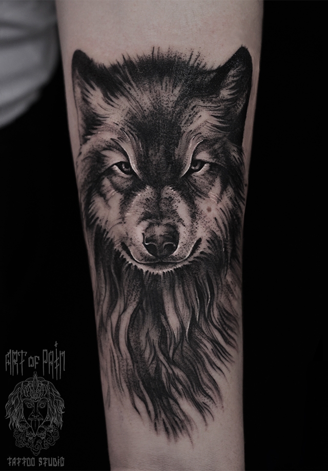 Татуировка женская графика на предплечье волк – Мастер тату: 