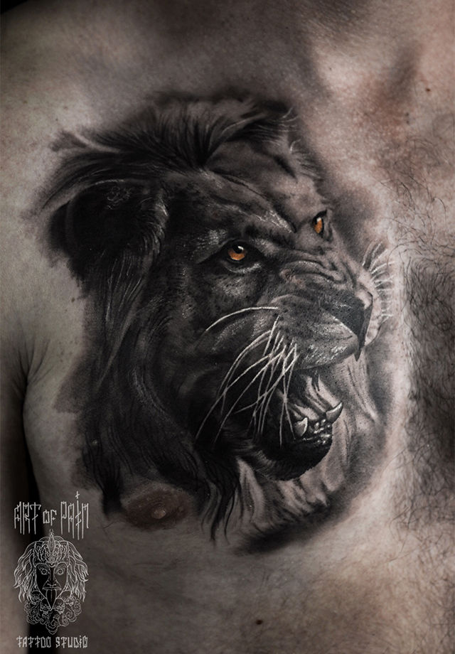 Татуировка мужская реализм на груди серый лев с желтыми глазами – Мастер тату: Александр Pusstattoo