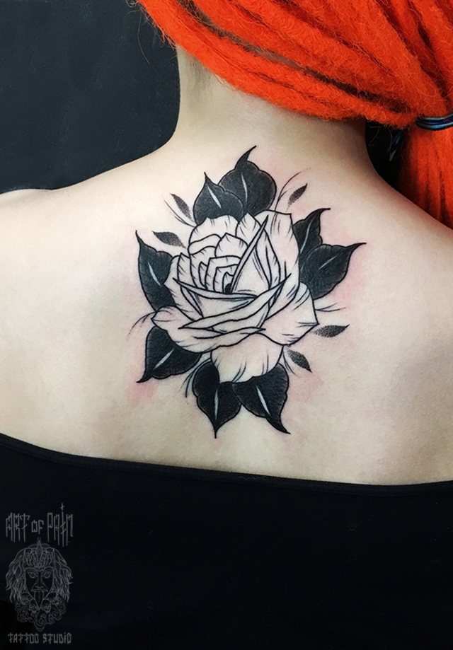 Татуировка женская графика на спине роза – Мастер тату: Максим Север