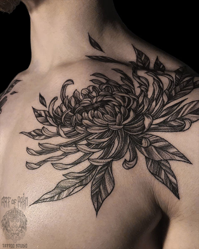 Татуировка мужская графика на груди хризантема – Мастер тату: Мария Челнокова
