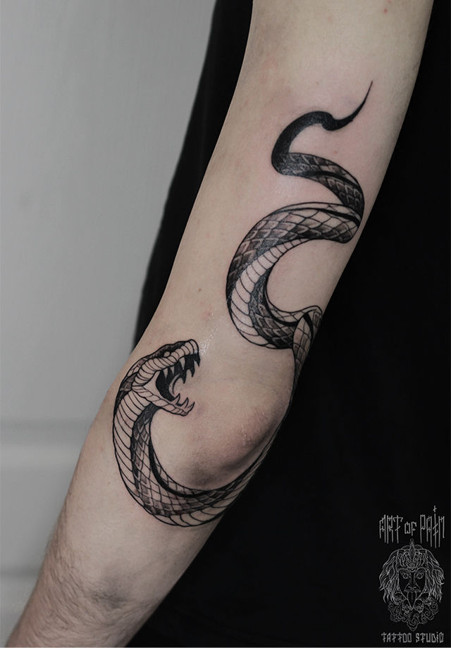 Татуировка женская графика на руке змея с зубами – Мастер тату: 