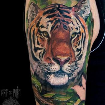 Татуировка мужская реализм на плече тигр и ветвь дерева