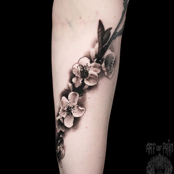 Татуировка женская реализм на предплечье черно-белая сакура