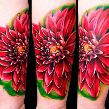Татуировка женская реализм на предплечье алая хризантема