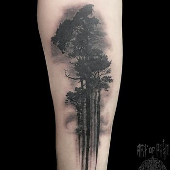 Татуировка мужская black&grey на предплечье деревья