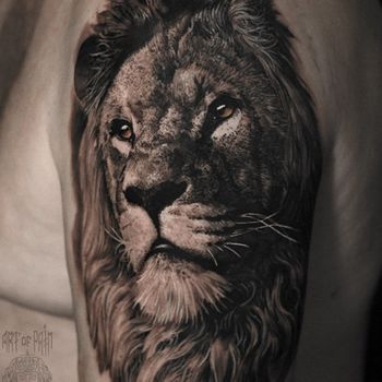 Татуировка мужская реализм на плече лев