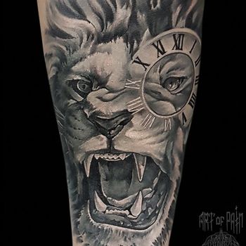 Татуировка мужская black&grey на предплечье лев и часы