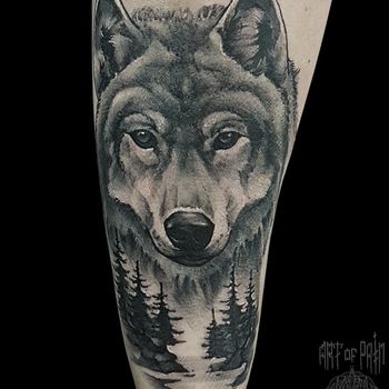 Татуировка мужская реализм на предплечье волк