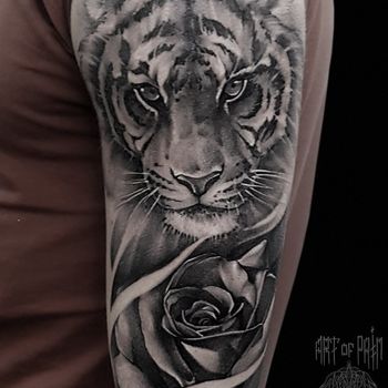 Татуировка мужская black&grey на плече тигр