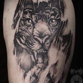 Татуировка мужская графика на плече тигр