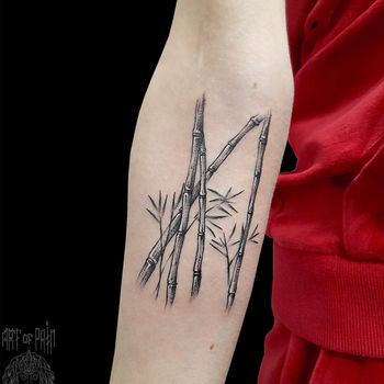 Татуировка женская графика на предплечье бамбук