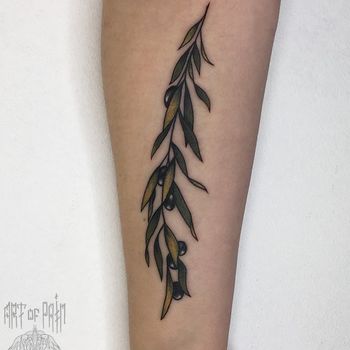Татуировка женская нью-скул на предплечье веточка оливы