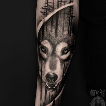 Татуировка мужская реализм на предплечье волк и лес