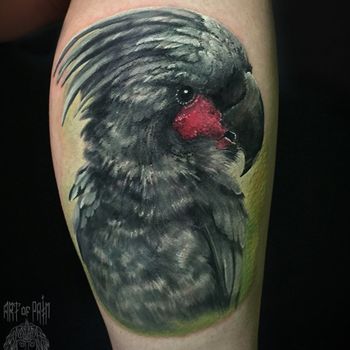 Татуировка женская реализм на голени попугай