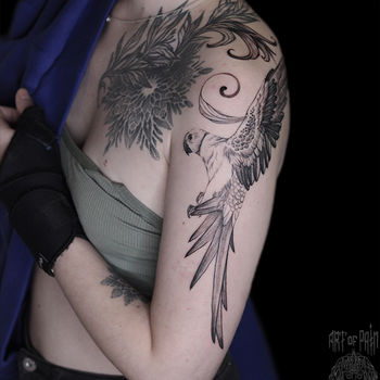 Татуировка женская графика на плече попугай
