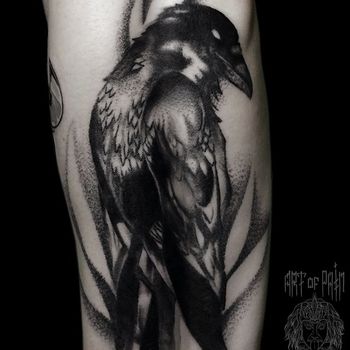 Татуировка мужская black&grey на предплечье ворон