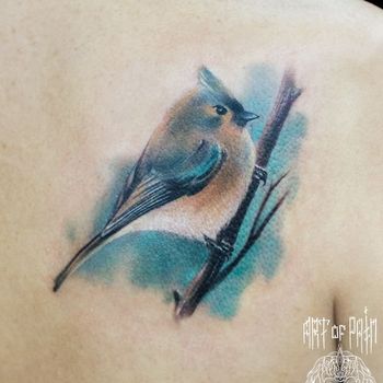 Татуировка женская акварель на лопатке птица
