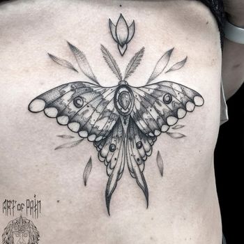 Татуировка женская графика на животе бабочка