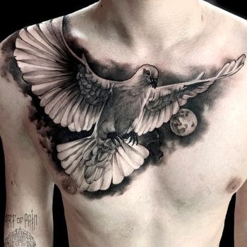 Татуировка мужская реализм на груди голубь