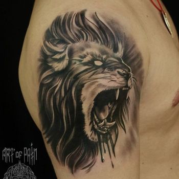Татуировка мужская Black&Grey на плече лев