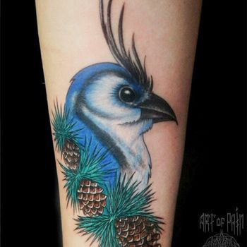 Татуировка женская нью-скул на предплечье птица