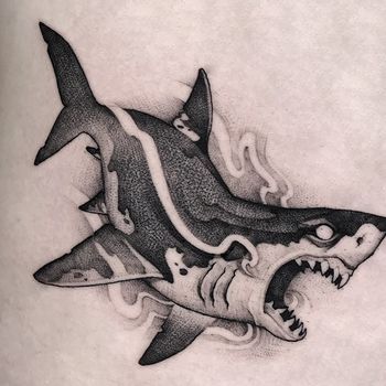 Татуировка мужская дотворк на животе акула