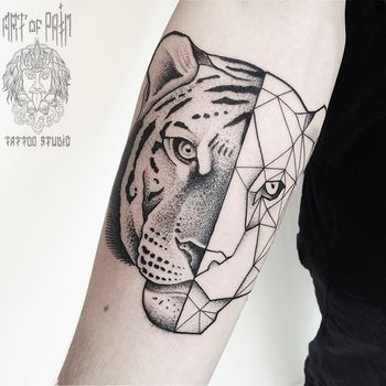 Татуировка мужская дотворк на предплечье тигр