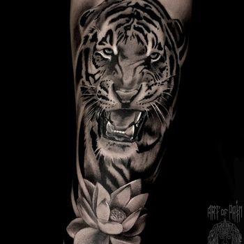 Татуировка женская black&grey на предплечье тигр