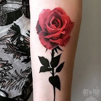 Татуировка женская на предплечье реализм красная роза