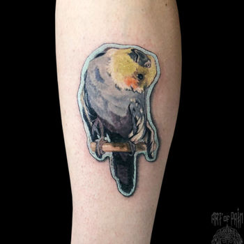 Татуировка женская реализм на голени австралийский попугай