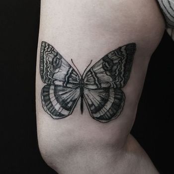Татуировка женская графика на плече бабочка