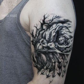 Татуировка мужская графика на плече голова орла
