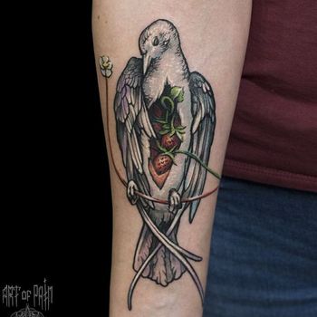 Татуировка женская графика на предплечье голубь