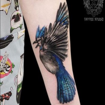 Татуировка женская графика на предплечье птица