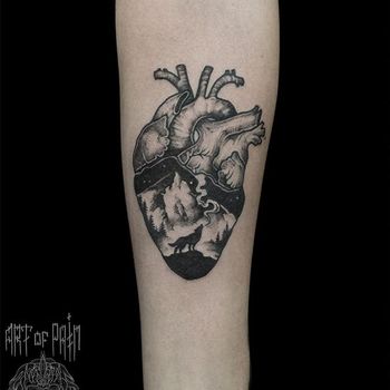 Татуировка женская графика на предплечье волк в сердце