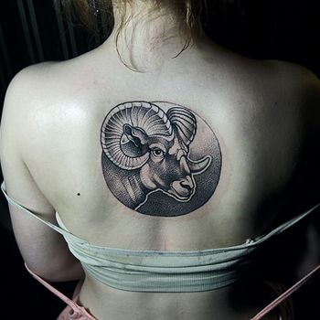 Татуировка женская графика на спине знаки зодиака