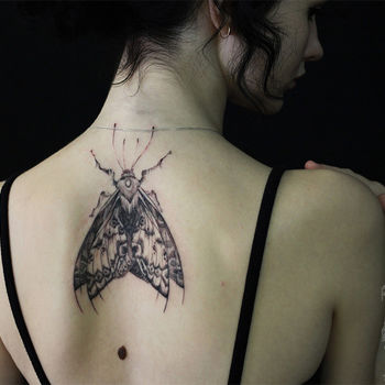 Татуировка женская графика на спине мотылек