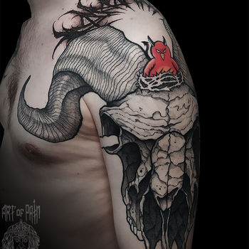 Татуировка мужская графика на плече череп животного
