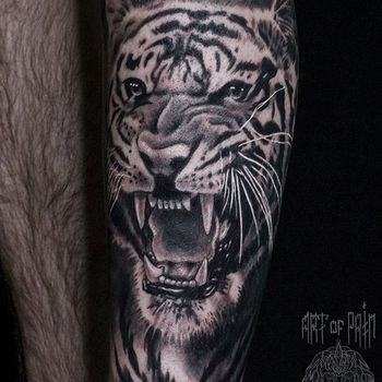 Татуировка мужская реализм на голени тигр