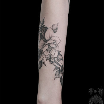 Татуировка женская графика на предплечье змея и цветок чайной розы