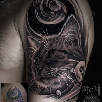 Татуировка мужская реализм на плече кот кавер