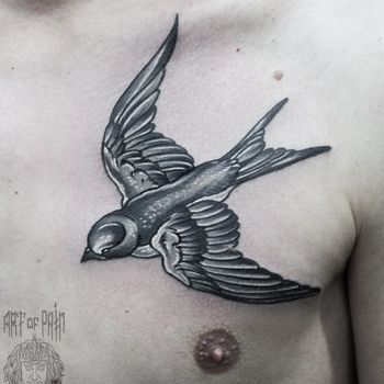 Татуировка мужская black&grey на груди ласточка