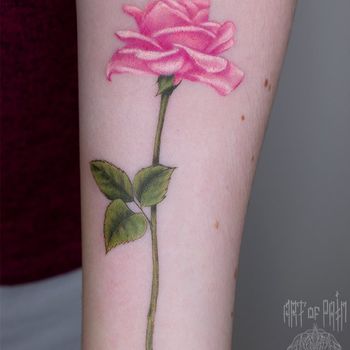 Татуировка женская реализм на предплечье розовая роза