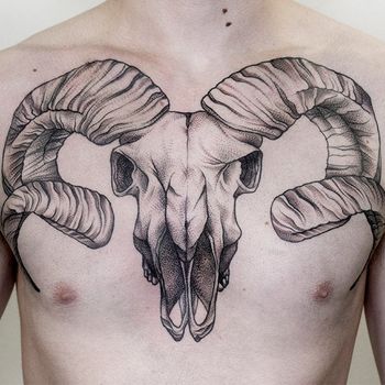Татуировка мужская графика на груди череп