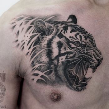 Татуировка мужская графика на груди тигр