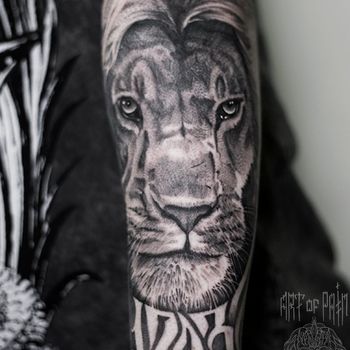Татуировка мужская реализм на предплечье лев и надпись