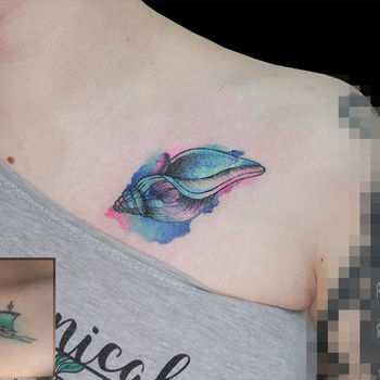 Татуировка женская акварель на ключице ракушка