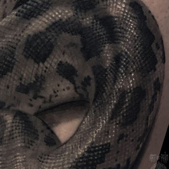 Татуировка мужская реализм на руке змея