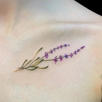 Маленькая цветная татуировка женская графика на ключице цветы